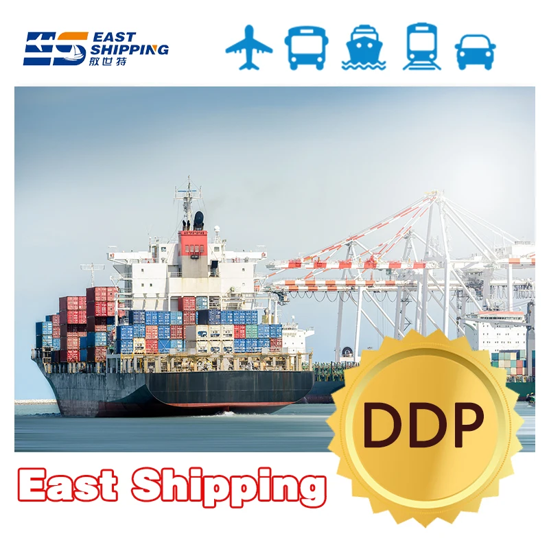 Express Sea Freight FCL LCL Container Shipping Clothes From China to Venezuela East Agent Forwarder