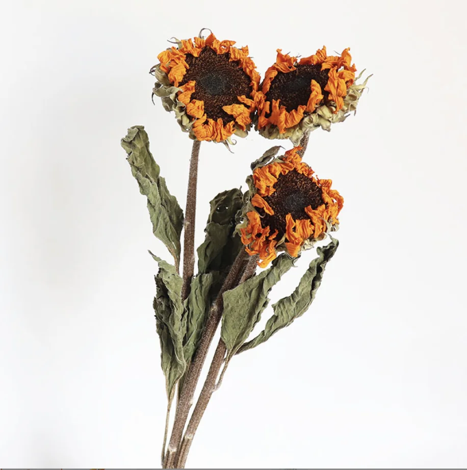 2023 Different Dried Flowers Natural Bouquet Real Touch Flower for Home Decor