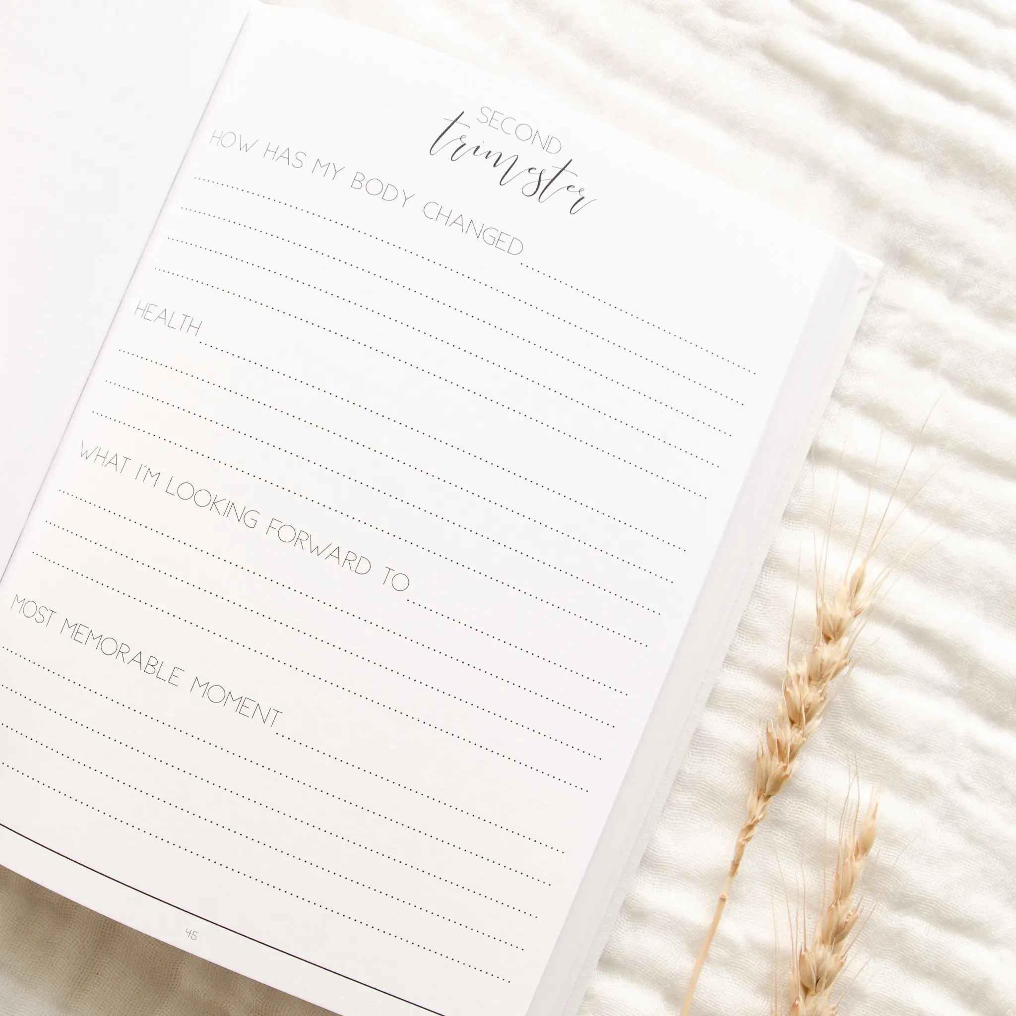 LABON Baby Pregnancy Journal Hello Little Mama Planner New Mom Diary Appointment Gender Neutral Keepsake Memory Book