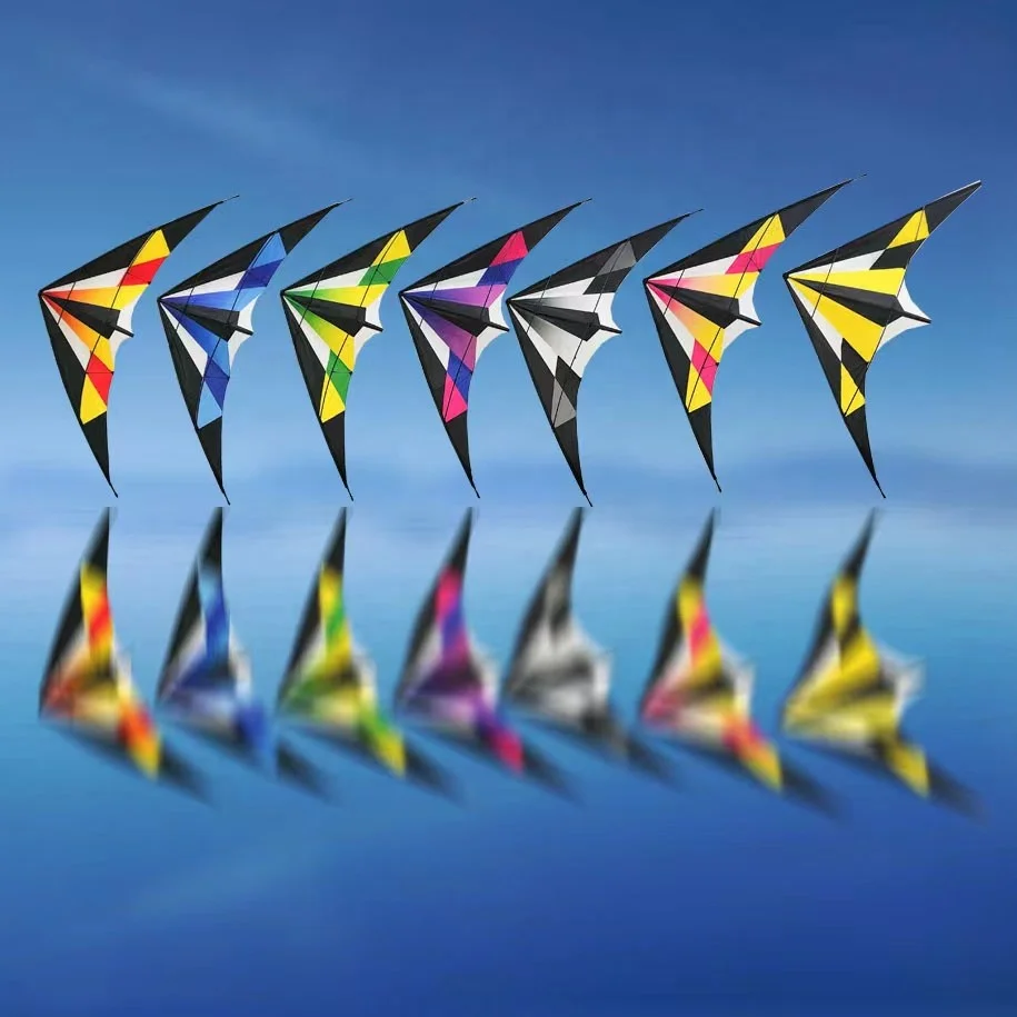 Factory Dual Line Power Kite Sale Sport Flying 2.4m Lanyork Magic Modern Deign Dual Line Stunt Kites