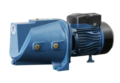 RUIQI Small Pump Machine JSW12M Series Self-Priming Bombas Mini Electric Motor Water Pump Pompe 1HP