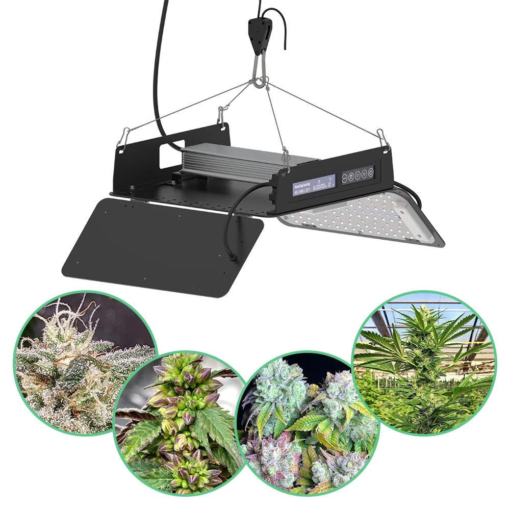 LED Grow Light Panel 240watt Adjustable Spectrum with Dimmable Timing Function For Grow Tent Kits