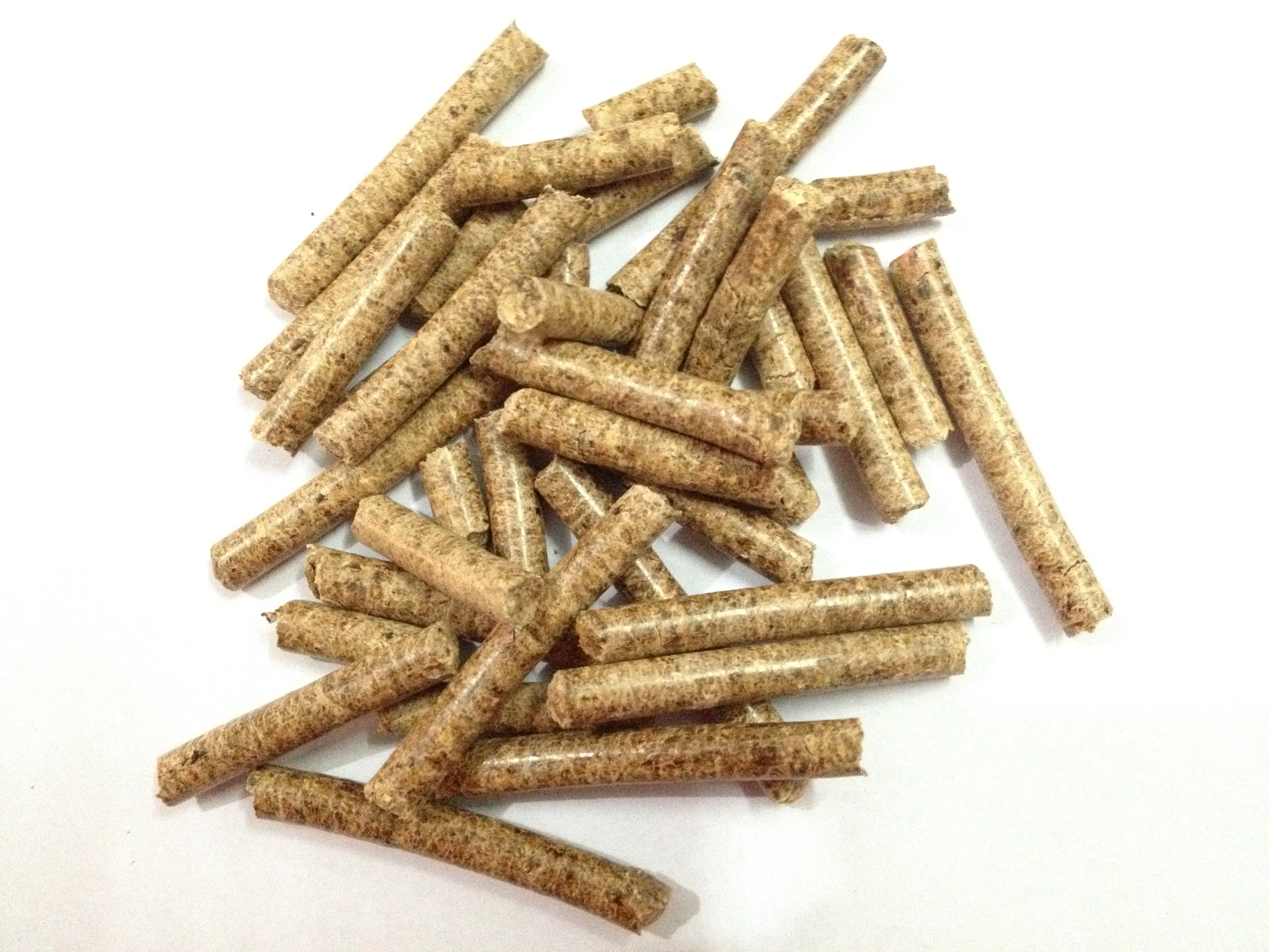 
Pellet Mill Making Machine Biomass Pellet Making Machine Animal Feed Pellet Machine for Promotion 
