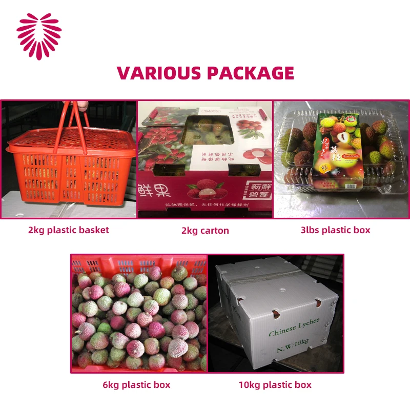 Good Quality Wholesale Fresh Lychee Litchi Lichee from China