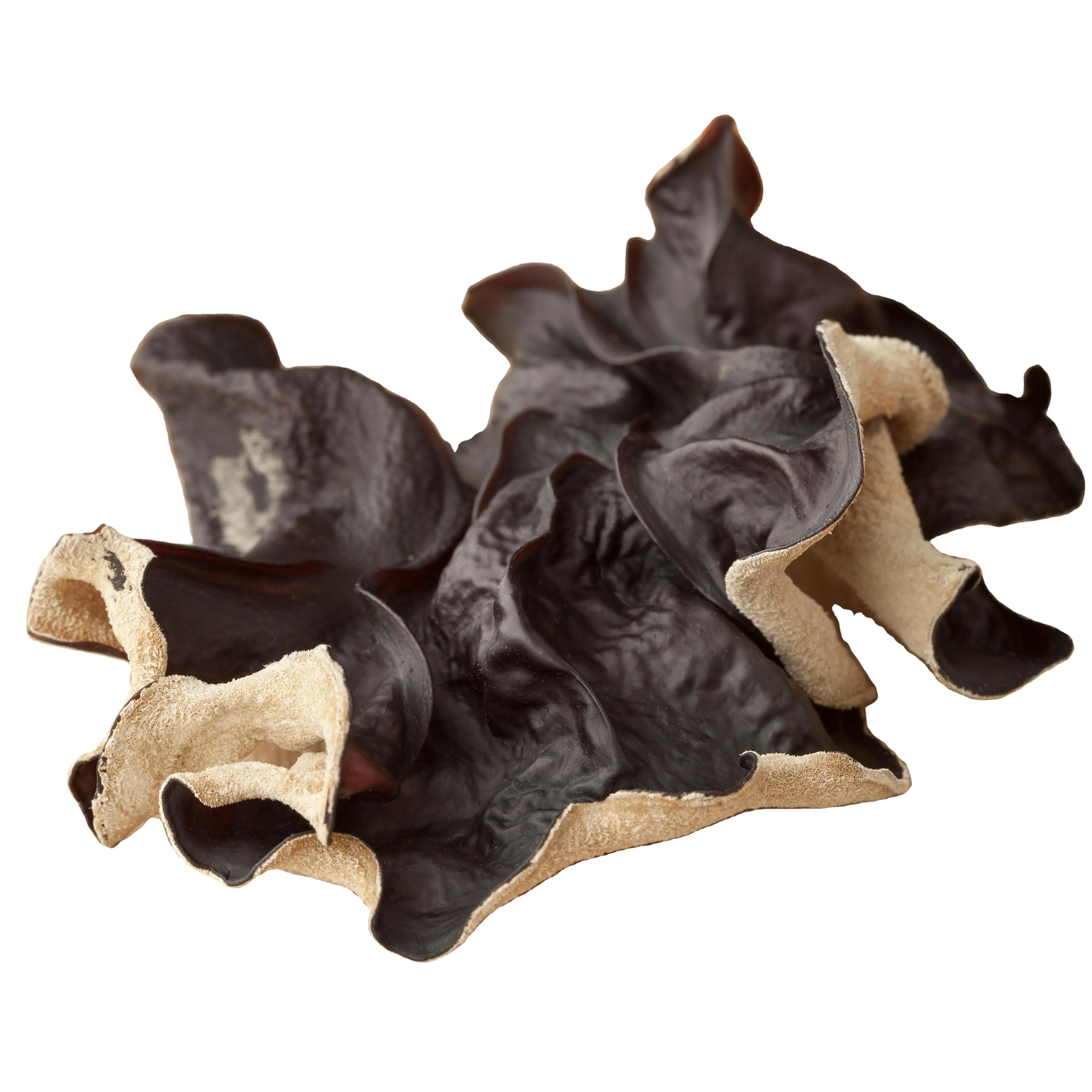 dried  black fungus slice dictyophora with whole of gourmet mushrooms