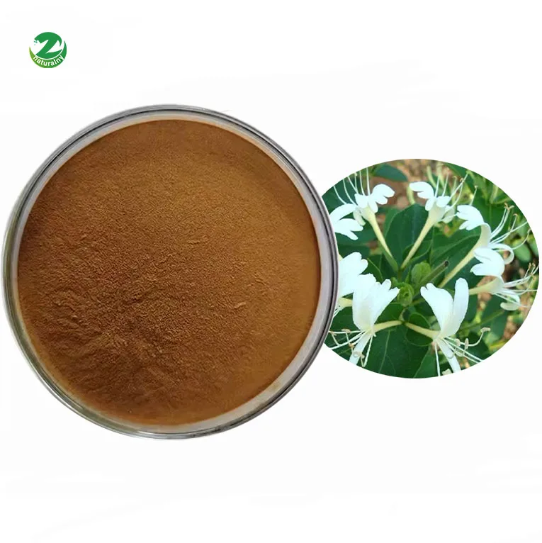 Заводская распродажа, экстракт дьявольского когтя, оптовая цена, экстракт дьявольского когтя, порошок, чистый экстракт дьявольского когтя