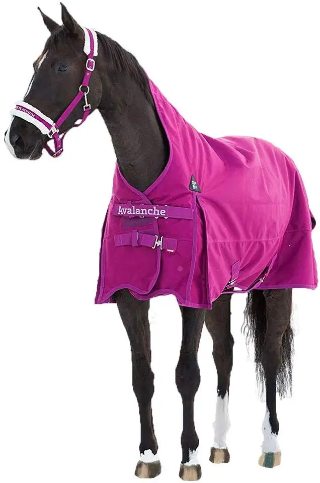 Custom Horse bucket fly rug deep navy blue color