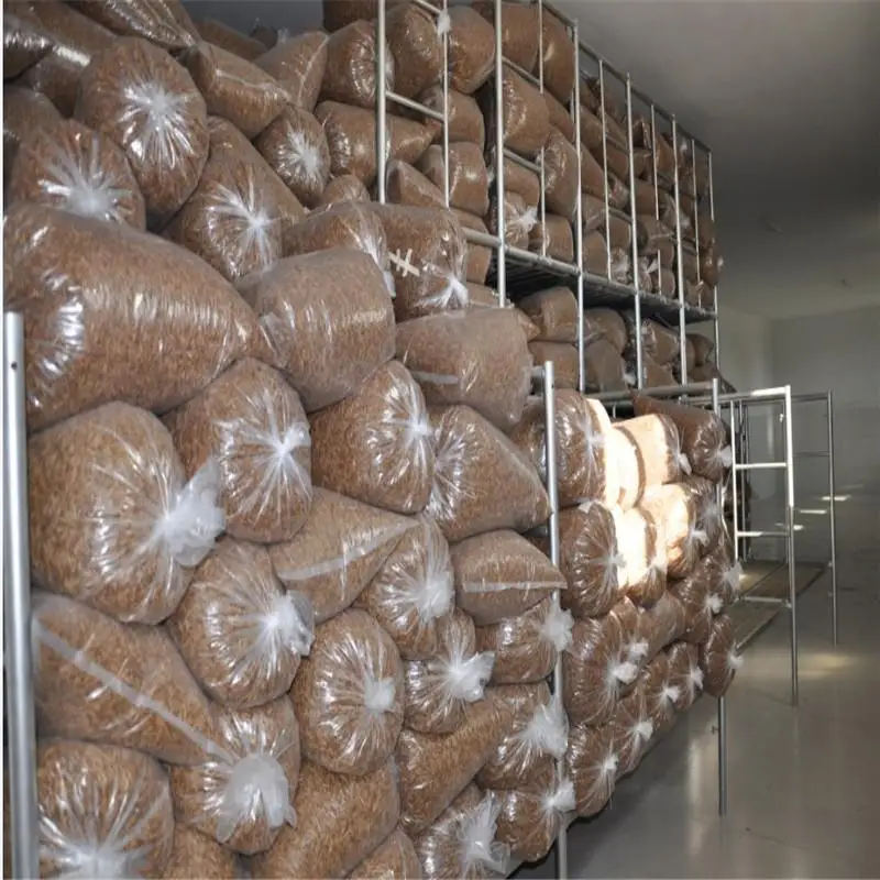 Aquaculture Material Dried Insect Protein Mealworm Wholesale Dried Yellow Mealworms Pet Food Bird Food Feed Hamster Snacks