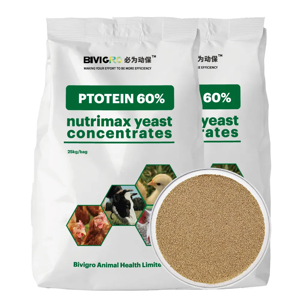 Supply Chicken Feed Protein Yeast Protein Manufacture SCP 64% Nutrimax