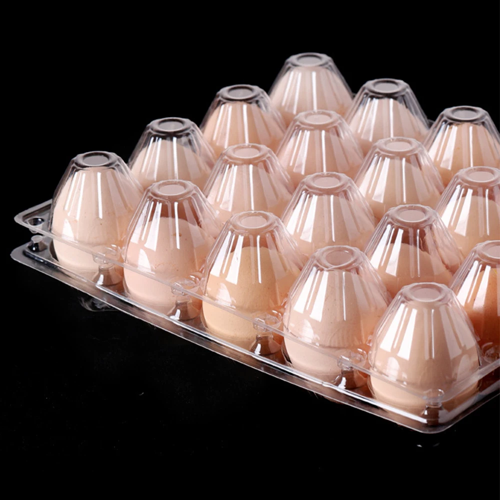 4 6 8 9 10 12 15 16 20 30 Holes Transparent Disposable Bliser Egg Carton Clear Plastic Egg Tray for Farmer