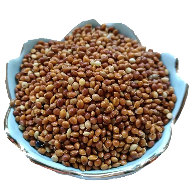 Кормовые урожая для домашнего скота и птицы с высокой урожайностью семян сорго