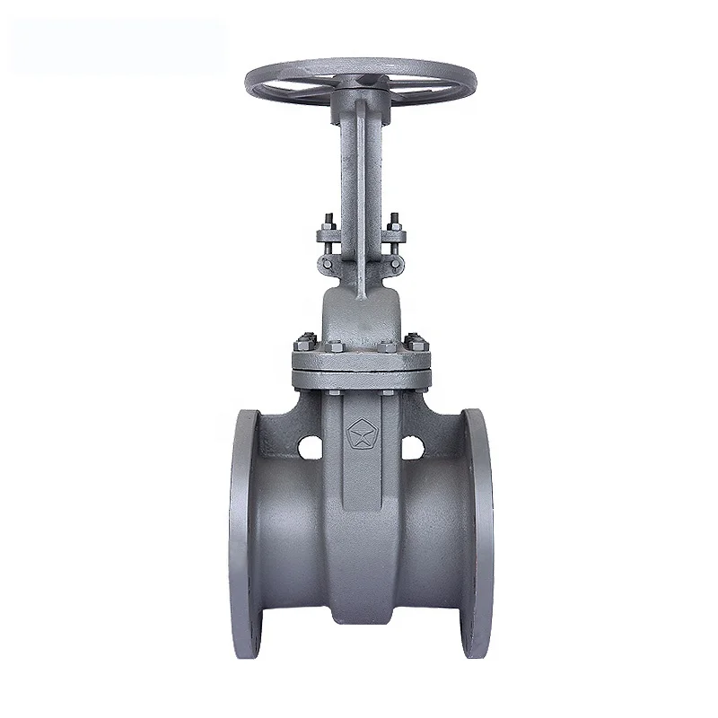 GOST standard cast steel heavy body pn16 dn50 gate valve