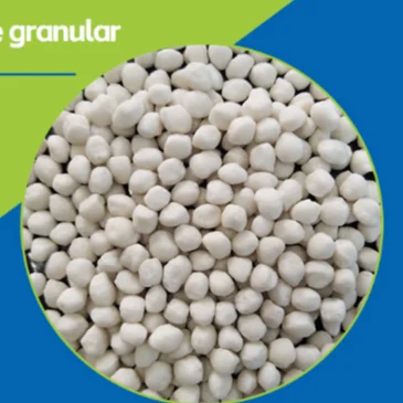 Hot Sell Jumbo Bag High Quality WhiteGranular Ammonium Sulphate