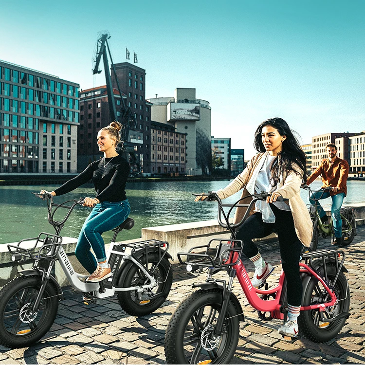 ENGWE L20 EU Warehouse Electric Bike 20inch Fat Tire 250W Electric Motor Bike Electric City bike for Men and Women