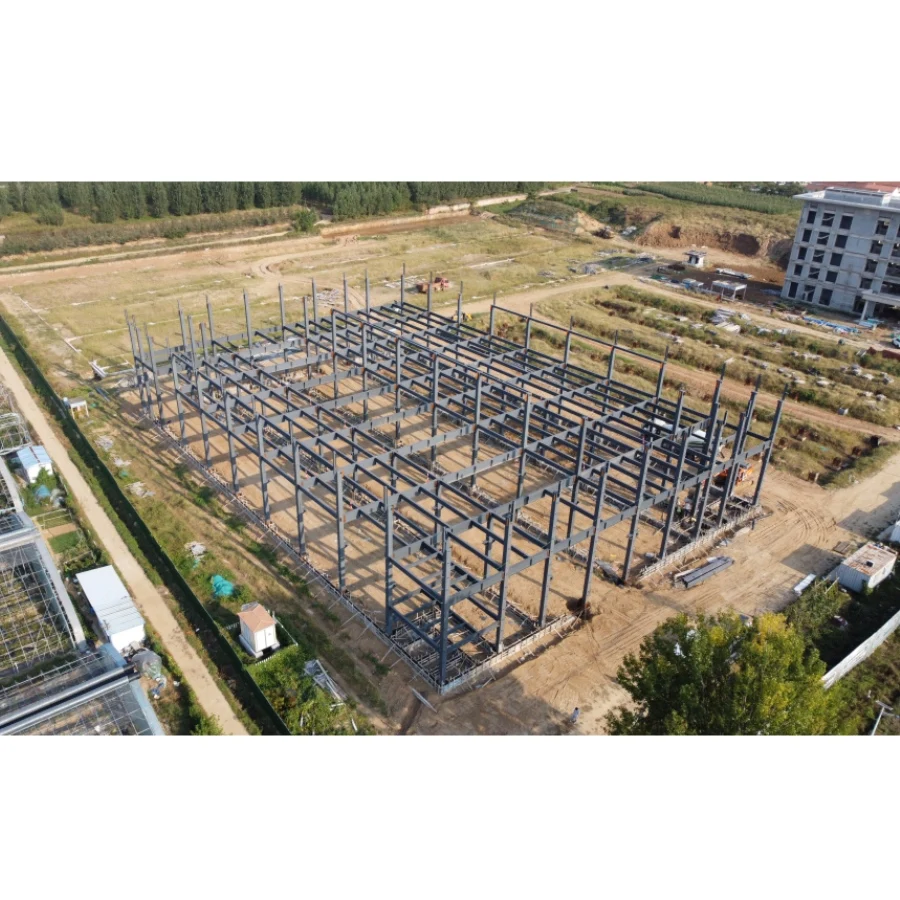 Good Price New Product Industrial Building Design Structures And Workshop Fabrication Steel Warehouse