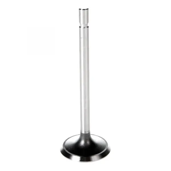 high quality  Engine Valve Intake and Exhaust Valve T13010216 OE 46514754 5942728 7666227 46553047 for Fiat Motor Fire 1.3-8v