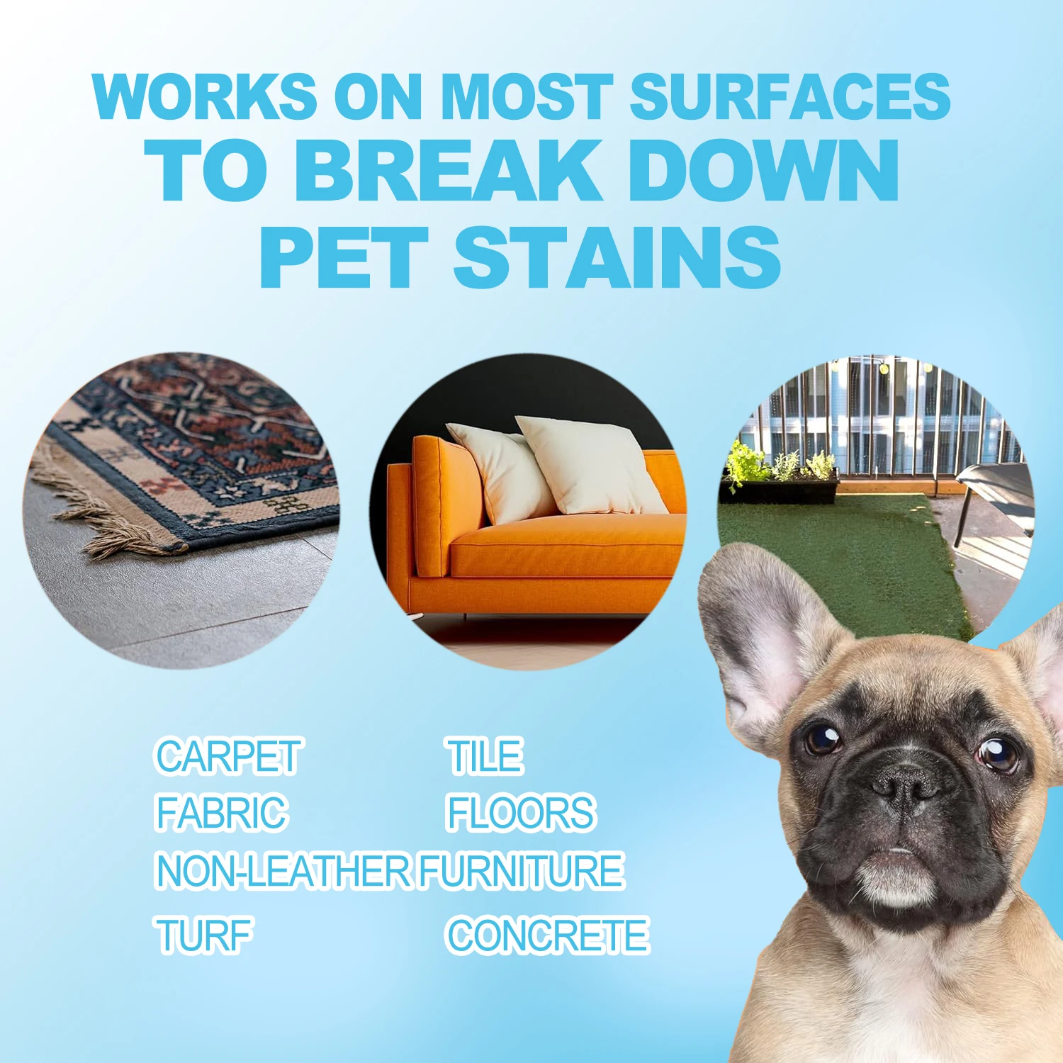 Clear Stain Remover for Carpets For All Types of Fabric Cleaner  Odor Eliminator Remover Spray