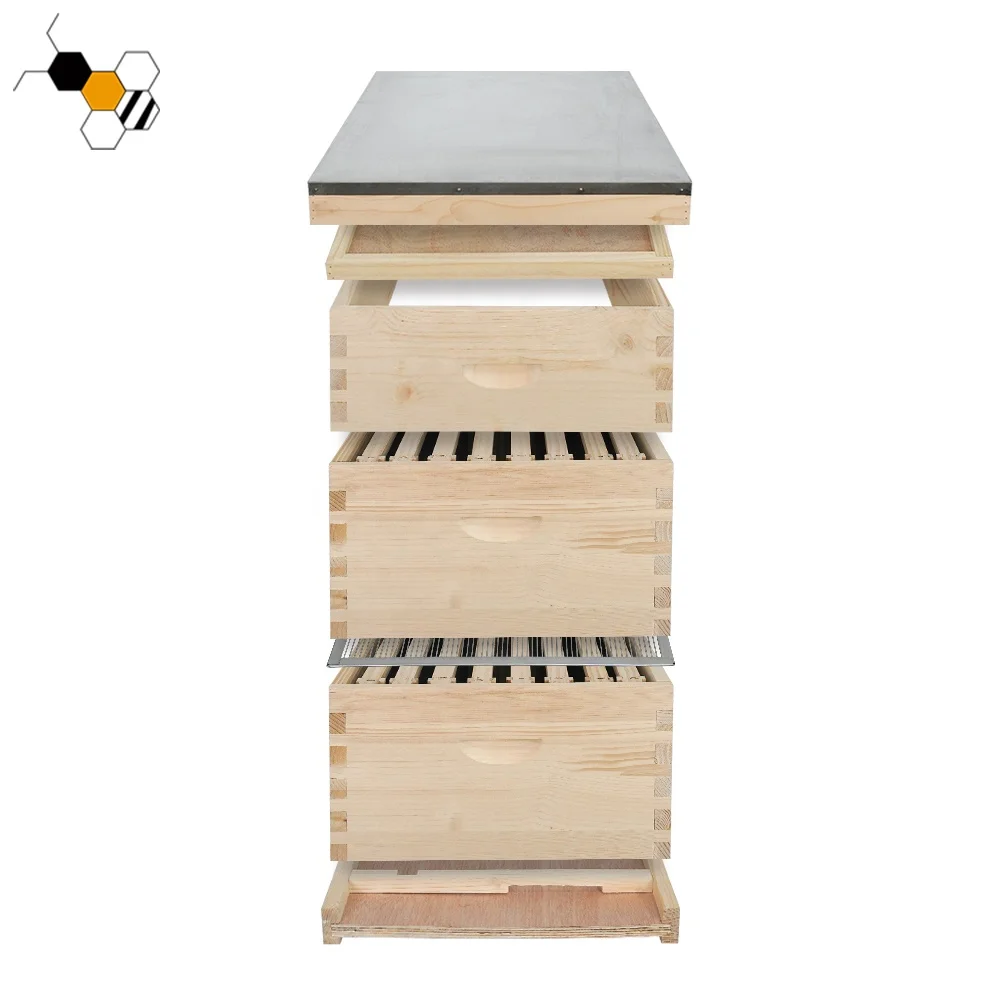China Pine Wooden Beehive Box 3 Layers Complete Langstroth 10 Frame Bee Hive For Beekeeping Equipment