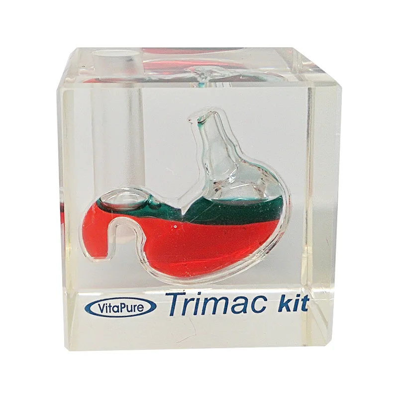 Custom Transparent Acrylic Cube Clear Resin Gift Crafts Acrylic Stomach Paperweight Gifts For Doctors