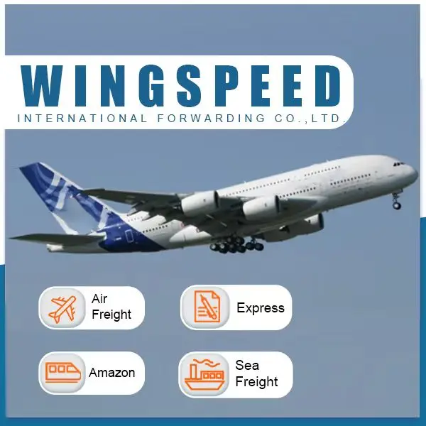 Europe Freight Forwarder DDP FBA shipping door to Door logistics Service Sea freight forwarder to USA Canada