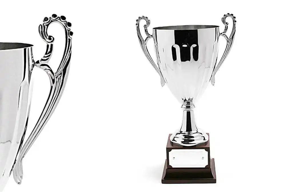 Silver Metal Trophy Cup Black Plastic Base Trophy Cup Award