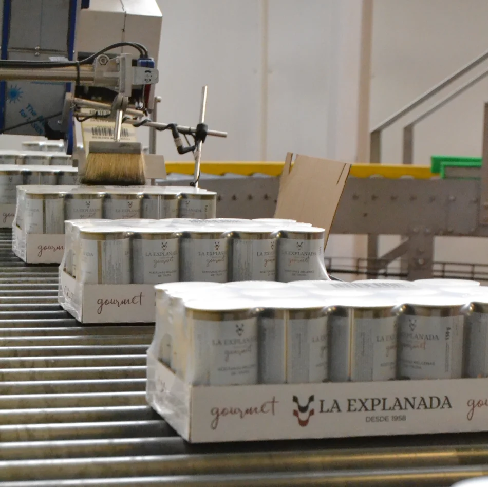 Вкусные зеленые фаршированные оливки с анчоусами, 12 унций