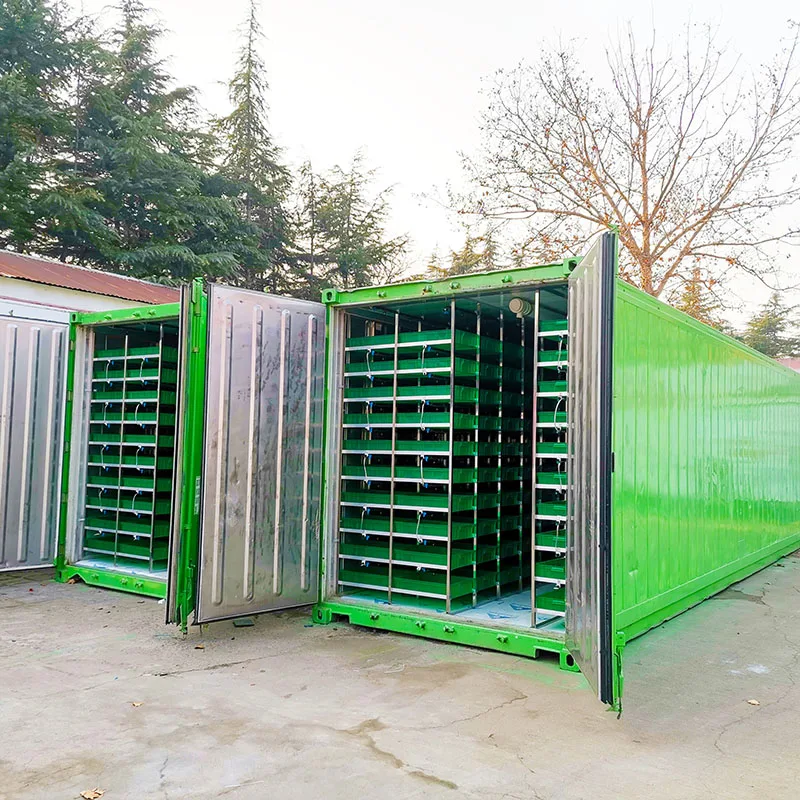 Solar Powered Hydroponic Growing System for Fodder