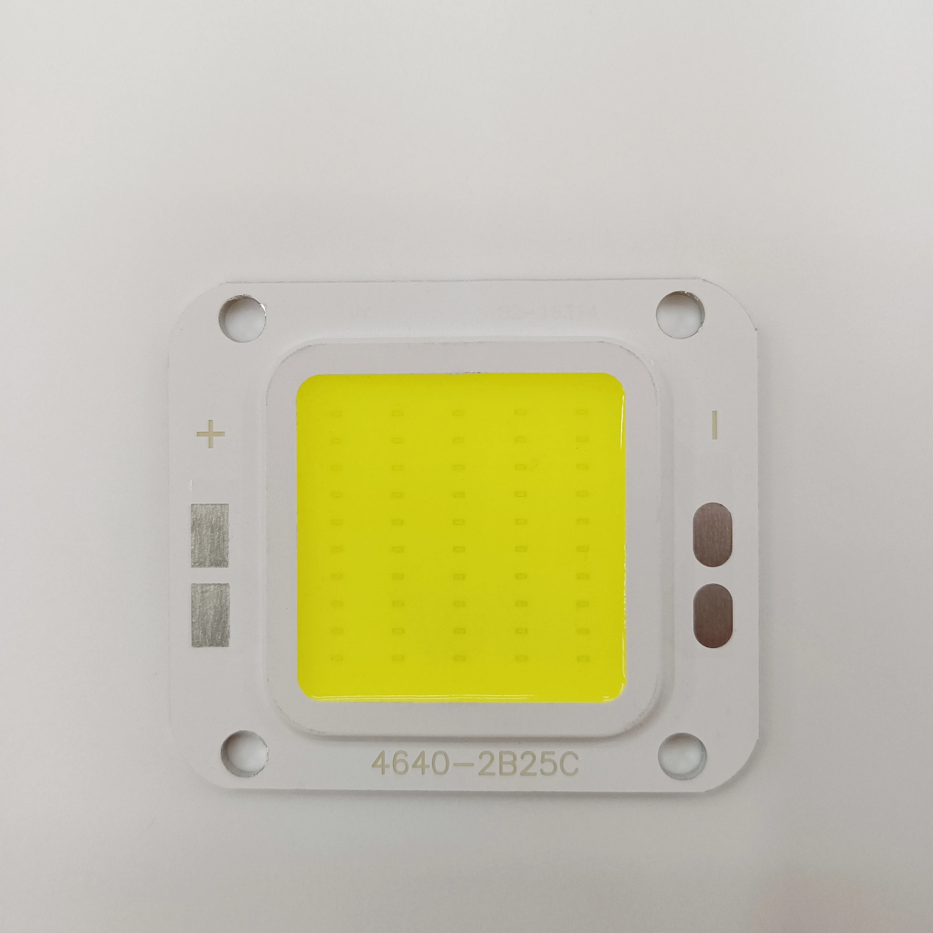 COYOLED 4640 COB LED Chips 220V/110V  10W 15W 50W LED COB Chips 1021 Chips for Outdoor Street Light Spot Light