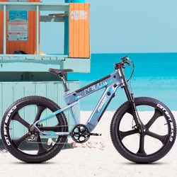 Amazon hot selling 750w 1000w motor e-bike fat tire mountain bike fat bike electric bicycle bike