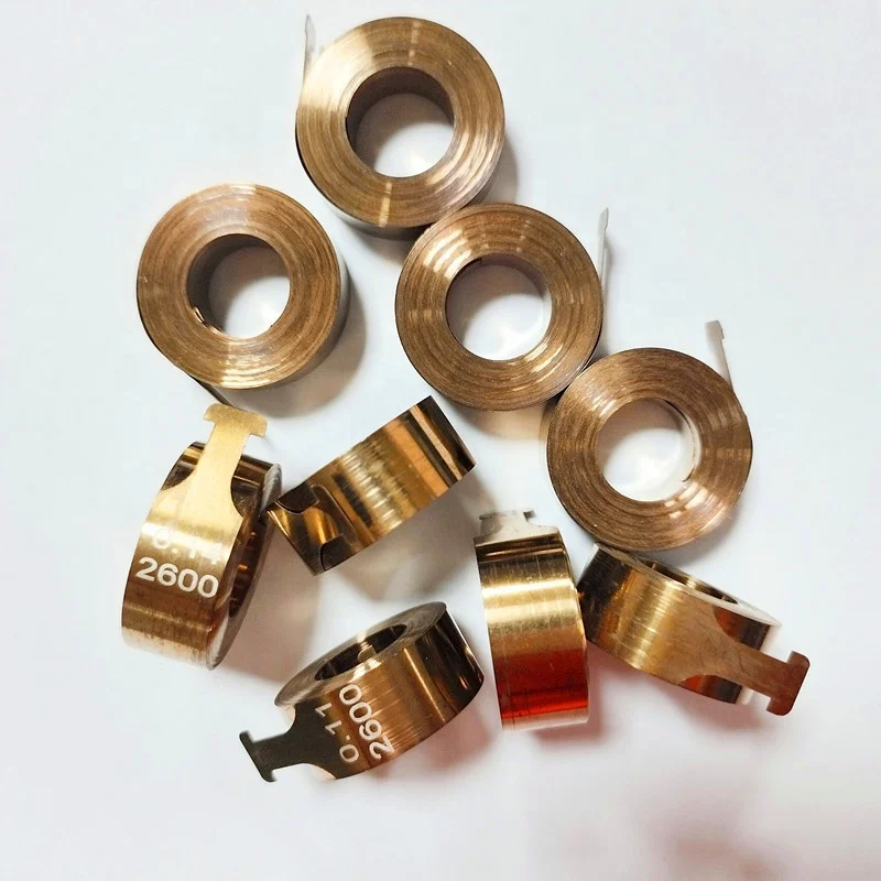 Custom OEM  coil spring and power spring and dog leash spiral spring