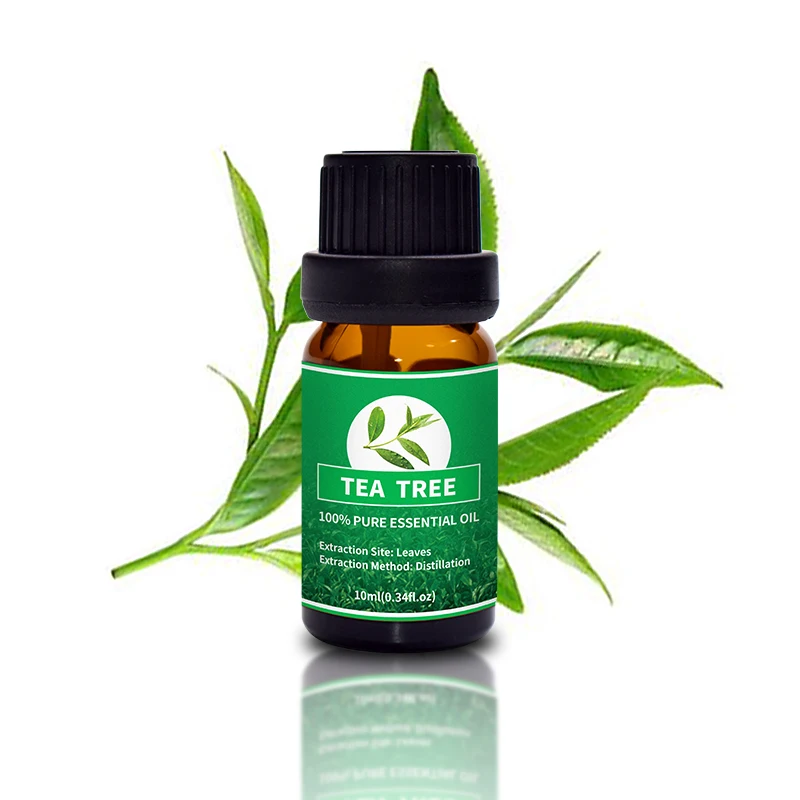 Bulk Trade Price Customize Organic 100% Nature Therapeutic Grade Tea Tree Essential Oil
