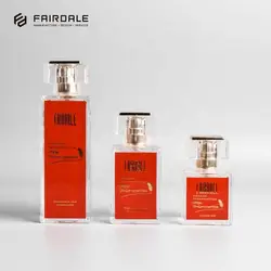 Сделанные на заказ стеклянные флаконы для духов 100 мл в форме флакона для духов с алюминиевой бутылкой с распылителем