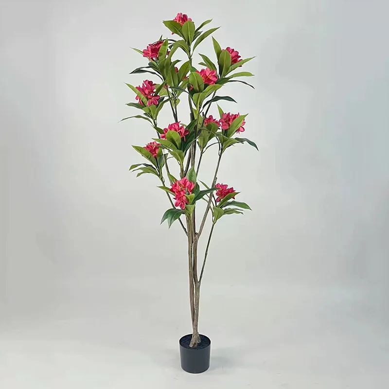 Tropical plants potted Frangipani tree for hotel decoration bonsai plumeria tree