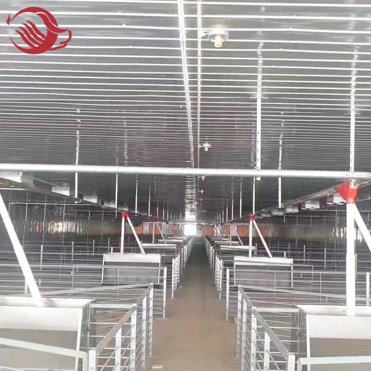 Piggery Cage / Organic Pig Farming / Breeding Crate For Pigs Wholesale