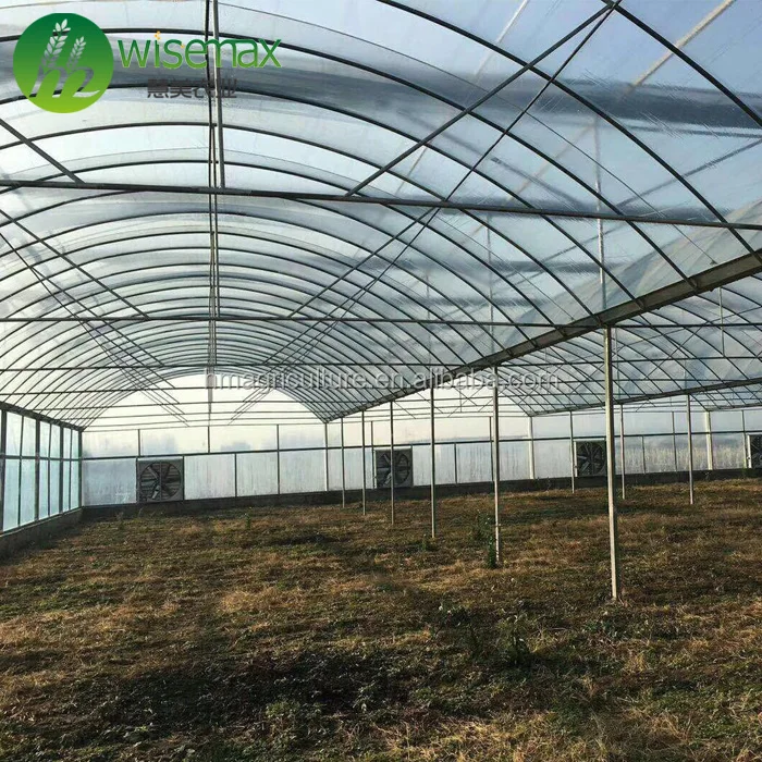 Excellent strength high tunnel multi span plastic greenhouse strawberry cultivation tray