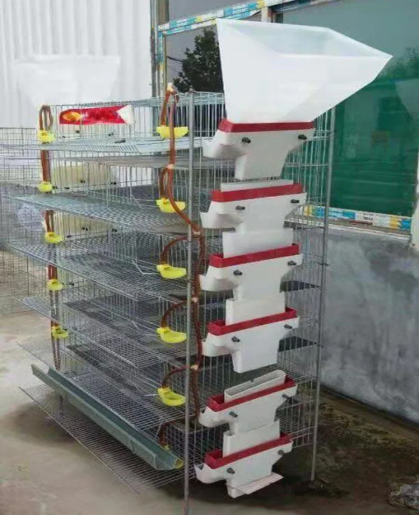 Лидер продаж, клетка для перепелов, автоматическая клетка для производства яиц