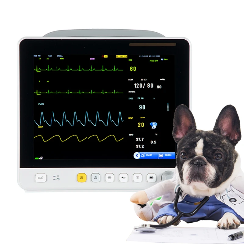 China wholesale patient monitor veterinary blood oxygen pulse vital signs multiparameter veterinary monitor