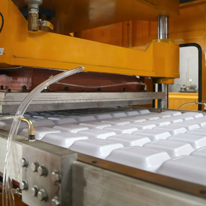Polystyrene Foam PS Thermocol Food Lunch Box Dishes Forming Machine Made From Sheet Rolls Ps Foam Food Container Making Machine