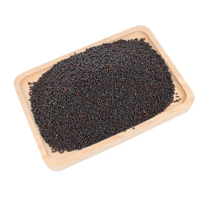 Hot selling mustard seeds edible black granulated spice premium white/yellow/black mustard seeds