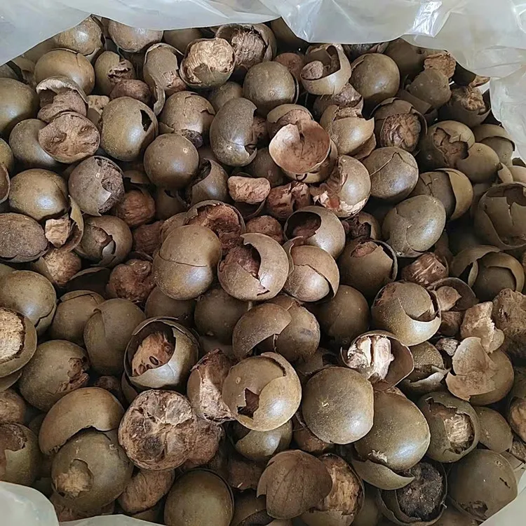 High Quality Fructus Momordicae Sweet Taste Momordica Grosvenori Monk Fruit