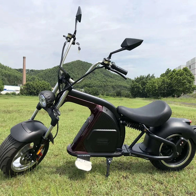 Electric Scooter Big Tyres Fastest Electric Motorcycle Mini Citycoco Scooter