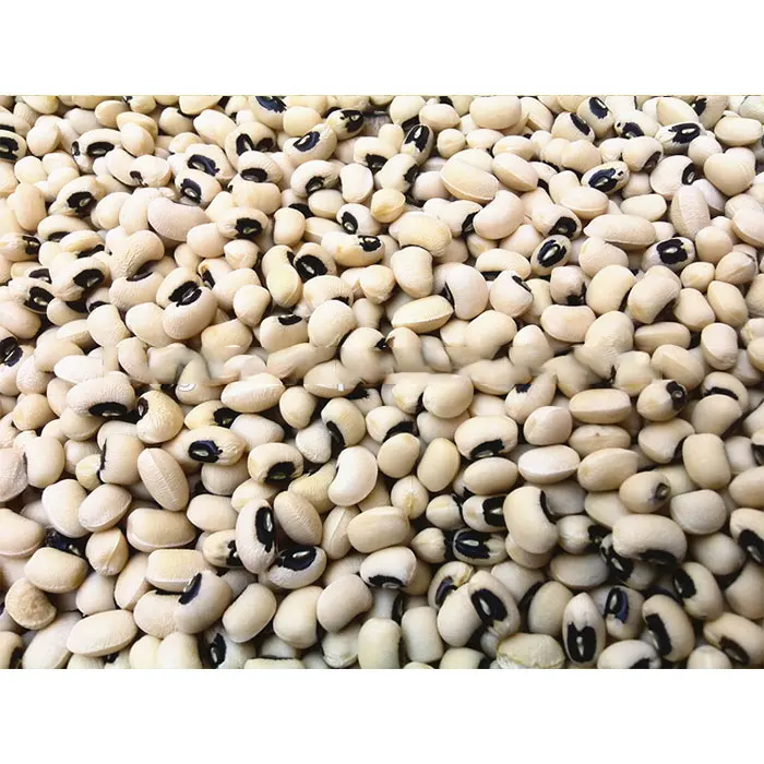 
GRAIN Peru Organic New arrival dry black eye beans prices for sale 