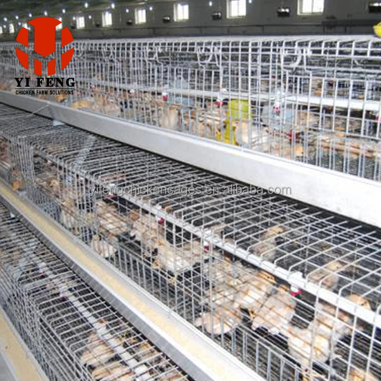 Лучшие продажи оцинкованной Q235 низкоуглеродистая стальная проволока рама автоматические клетки для детских куриц аккумуляторные