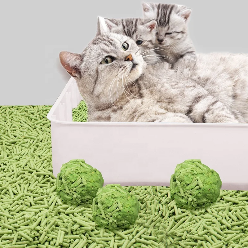 China wholesale tofu cat litter production equipment supplier plant tofu biodegradable cat litter