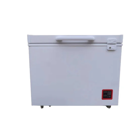 Top Chest Freezer Mini Ice Cream Display dc Freezer 66L