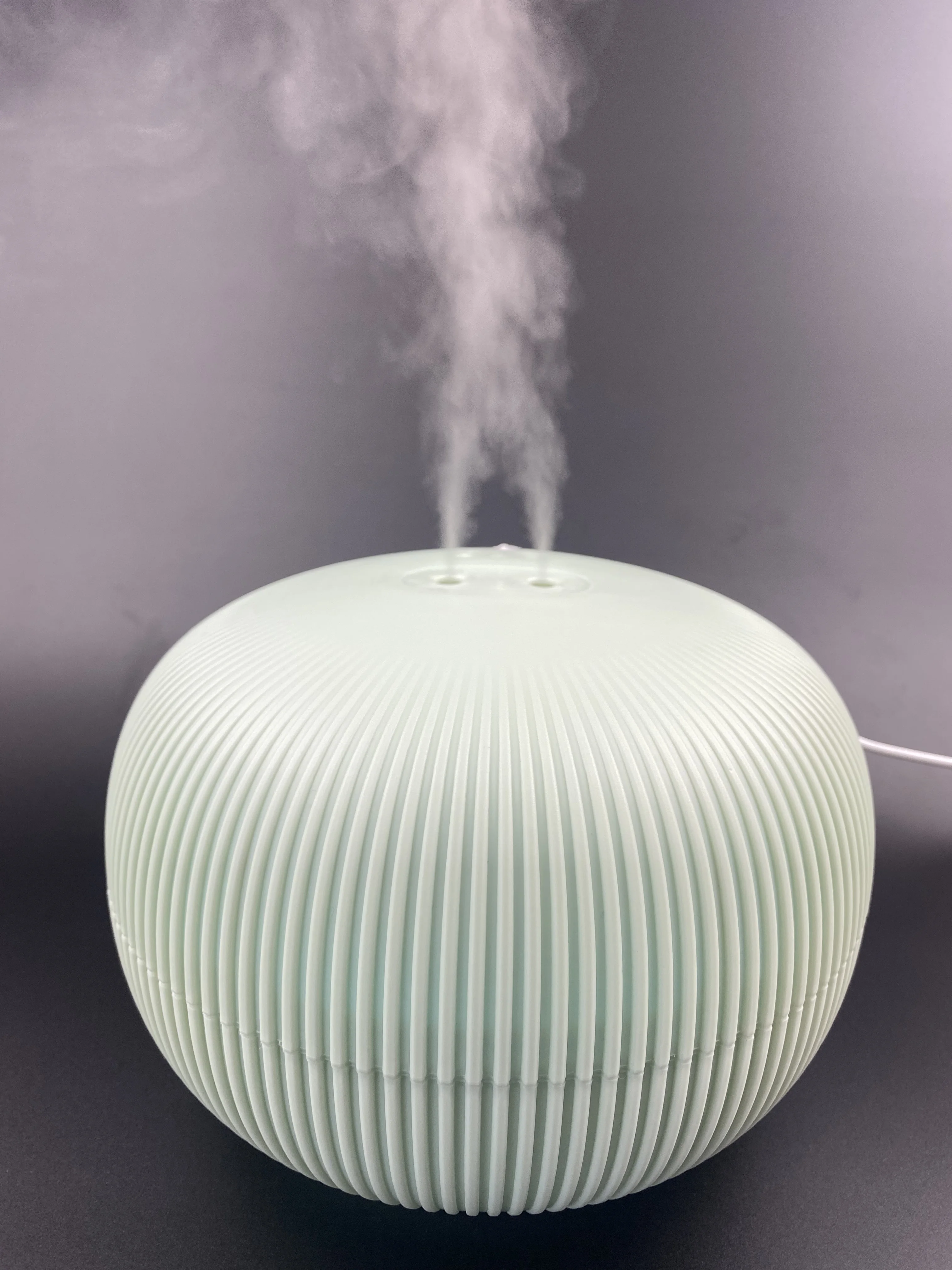 Best Cute Diffuser Humidifier for Large Room