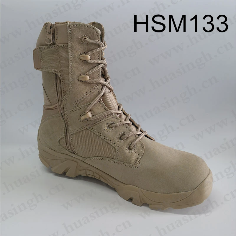 HSM133-2_