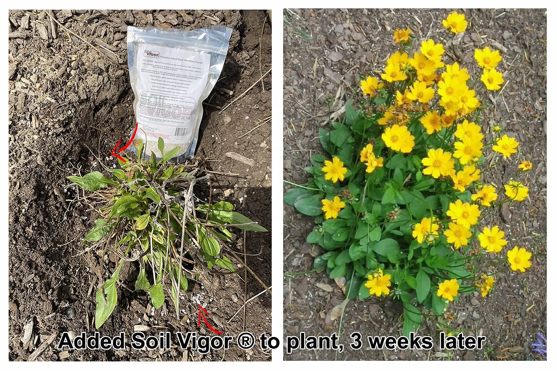 Seed Coated SAP Superabsorbent Polymers Super Absorbent Polymer Cross-linked Polyacrylate Copolymer Synthetic Resin and Plastics