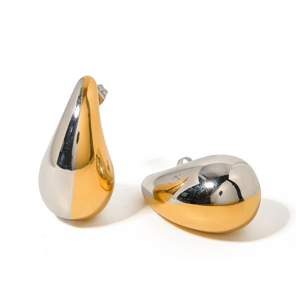 Fashion personality niche exaggerated design earrings retro simple stainless steel new earrings female wholesale