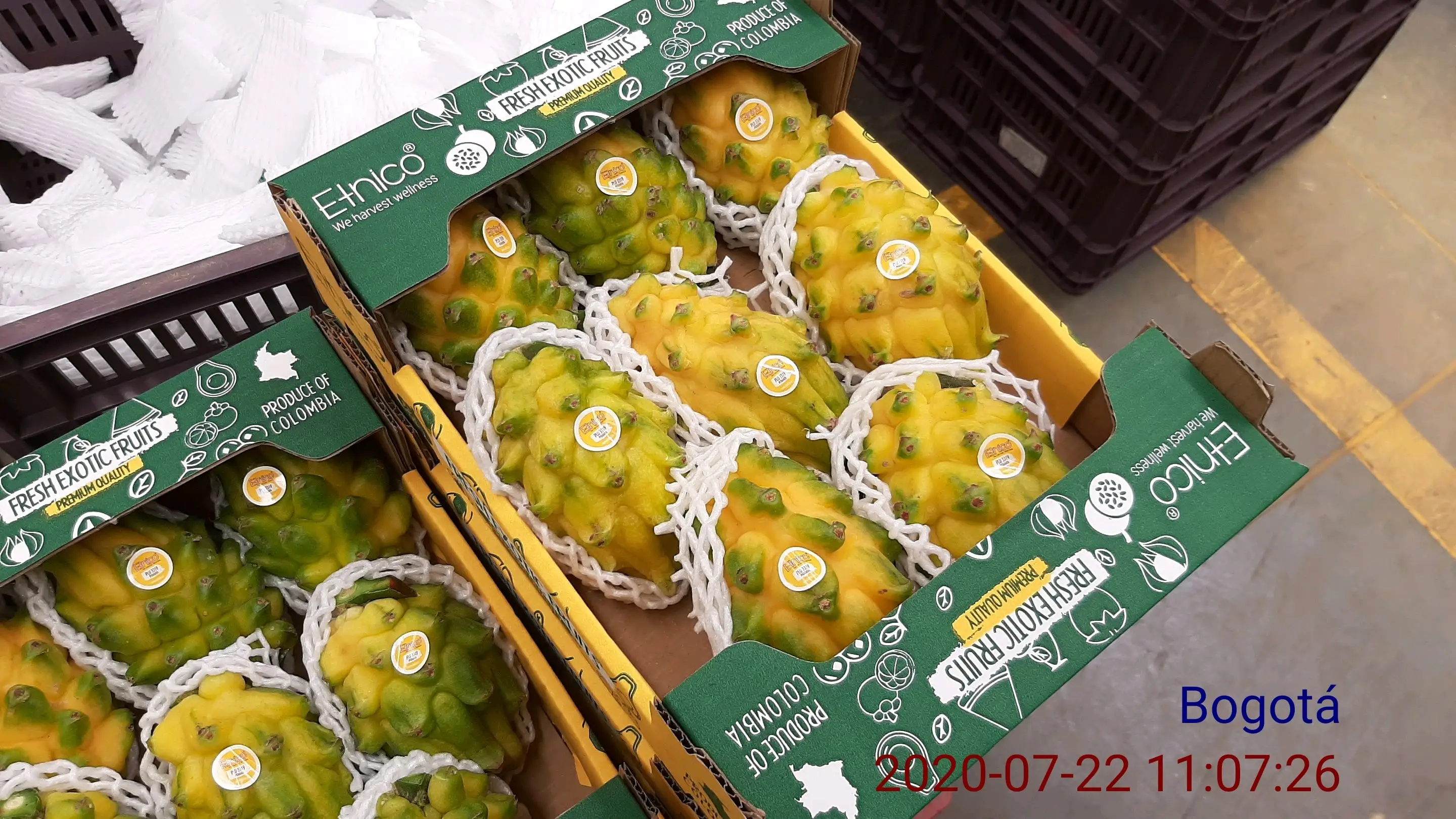  Недорогие свежие фрукты желтого дракона Pitahaya экзотические